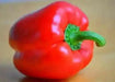 Red bell peppers Seeds,california wonder Capsicum annuum Organically Grown - Caribbean garden seed