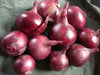 Red Burgundy Onion SEED, ANNUAN VEGETABLE - Caribbean garden seed