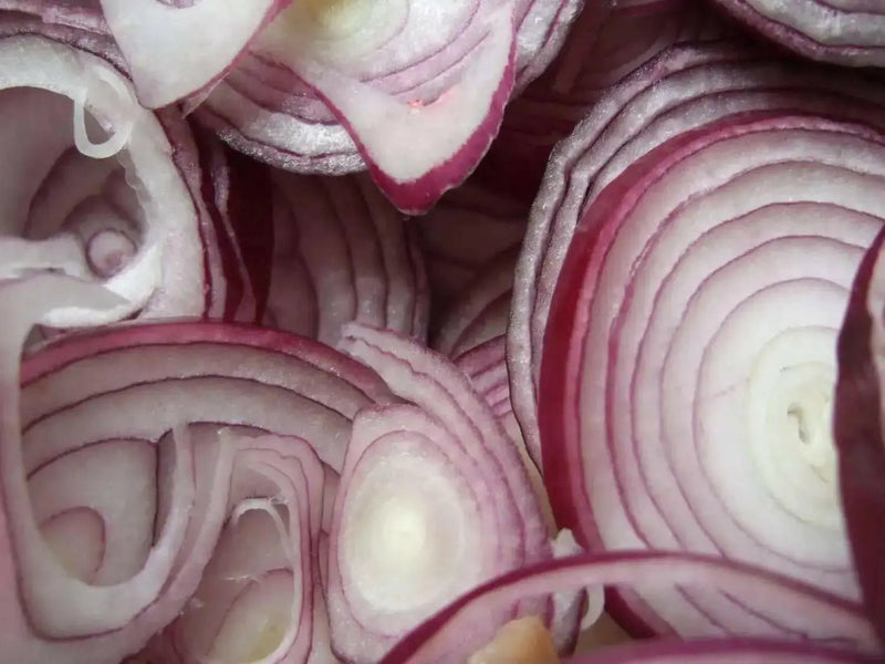 Red Burgundy Onion SEED, ANNUAN VEGETABLE - Caribbean garden seed