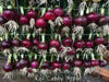 Red Candy Apple Onion Plants-Asian Vegetable,short- and long-day - Caribbean garden seed