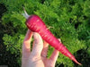 Red Carrot Seeds, Atomic Red ,ORGANIC HEIRLOOM VEGETABLE - Caribbean garden seed