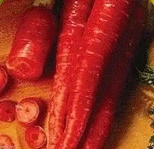 Red Carrot Seeds, Atomic Red ,ORGANIC HEIRLOOM VEGETABLE - Caribbean garden seed