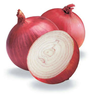 Red Grano Onion Seed, (Short Day Onion- Plant Spring, Summer or Fall ! - Caribbean garden seed