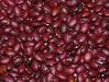 Red Pearl Bean  Phaseolus vulgaris-Very Rare Heirloom-Open pollinated. - Caribbean garden seed