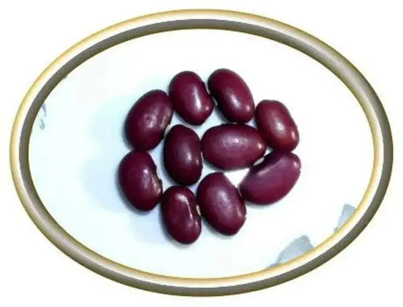 Red Pearl Bean  Phaseolus vulgaris-Very Rare Heirloom-Open pollinated. - Caribbean garden seed