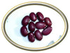 Red Pearl Bean  Phaseolus vulgaris-Very Rare Heirloom-Open pollinated. - Caribbean garden seed