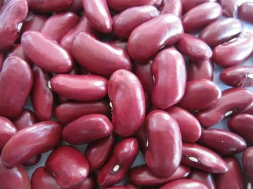 Red Kidney Beans (Dry shelling Bush) CARIBBEAN , Jamaican Red Peas - Caribbean garden seed