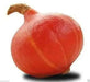 Red Kuri Squash Seeds-,Japanese kabocha Pumpkin, Asian Vegetable - Caribbean garden seed