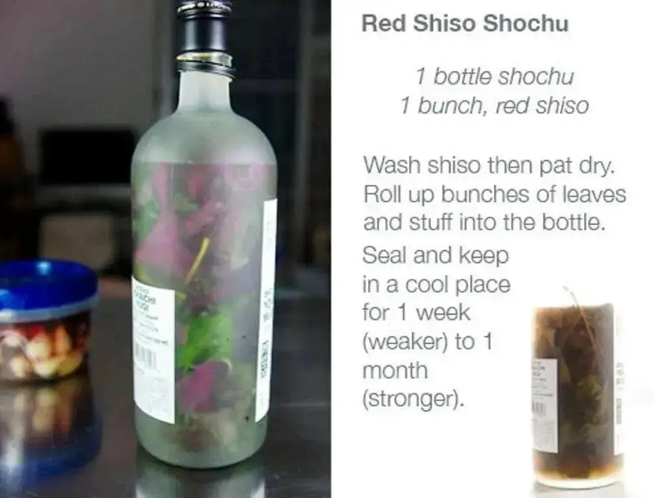 Red Perilla HERB Seeds/Shiso, Purple Mint, Asian Vegetable - Caribbean garden seed