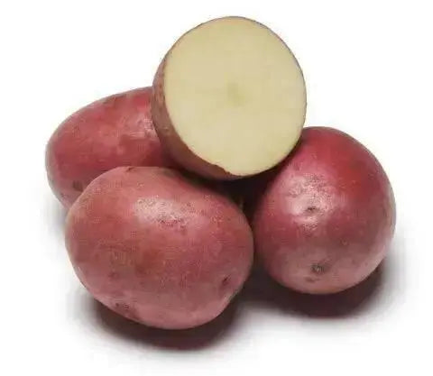 Red Pontiac Potato  /tuber,versatile and flavorful - Caribbean garden seed