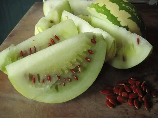 Red Seeded Citron, Watermelon seeds - Caribbean garden seed