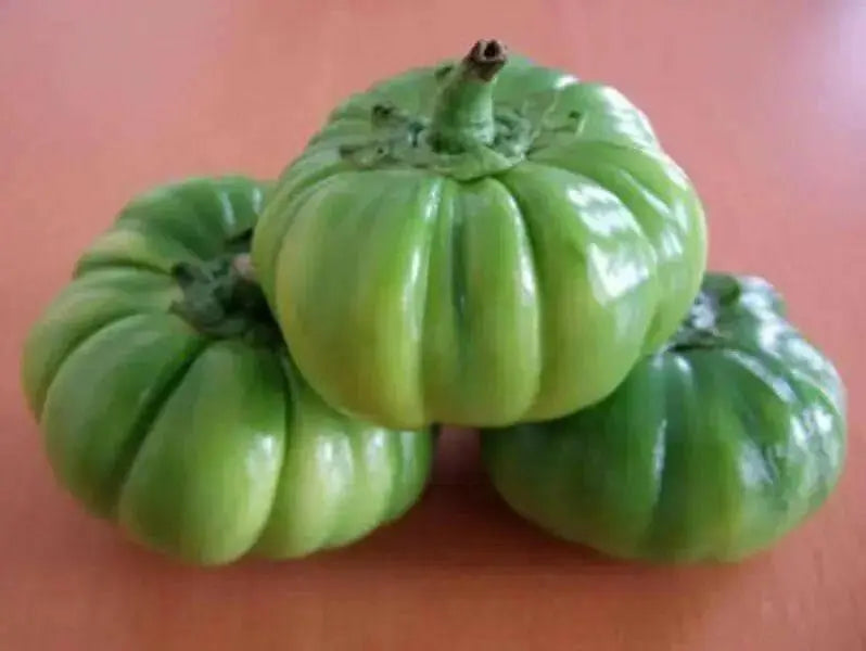 Red Ruffled Eggplant Seeds a.k.a Hmong Red - Caribbean garden seed