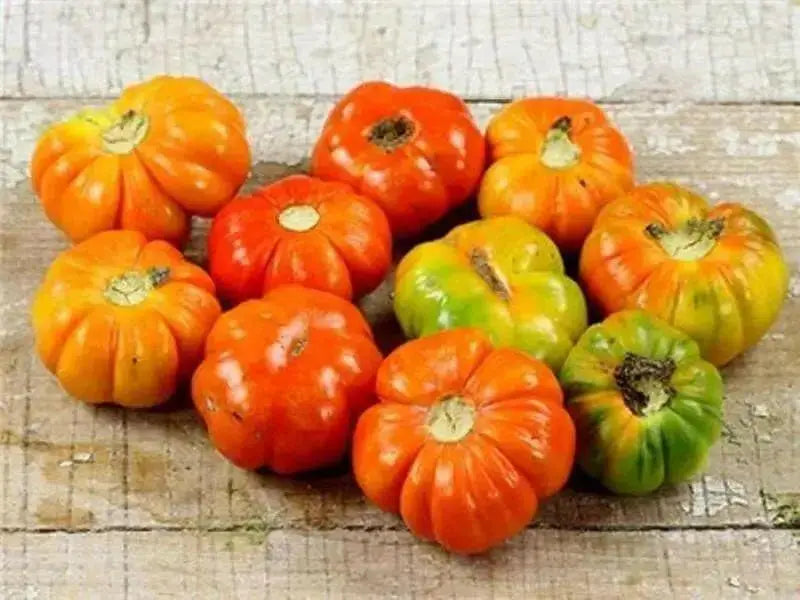 Red Ruffled Eggplant Seeds a.k.a Hmong Red - Caribbean garden seed