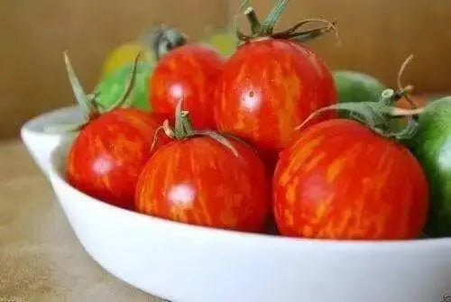 RED ZEBRA TOMATO - HEIRLOOM SEEDS - Beautiful,Delicious,Tangy Salad Tomato ! - Caribbean garden seed