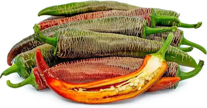 Rezha Macedonian hot Pepper Seeds , Capsicum annuum. - Caribbean garden seed