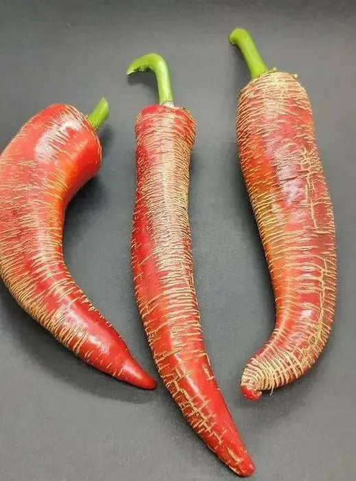 Rezha Macedonian hot Pepper Seeds , Capsicum annuum. - Caribbean garden seed