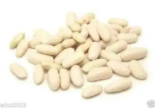 Rice Bean,White,  Climbing-Mountain-Bean - Seeds - Caribbean garden seed