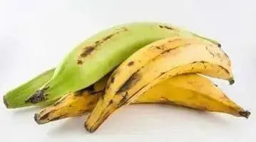 RIPE OR GREEN  plantains, Tostones, CARIBBEAN FRESH produce - Caribbean garden seed