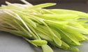 Robust 997 Corn Seed, Shoots microgreens /Popcorn - Caribbean garden seed