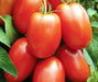 Roma Tomato Seeds - Italian Heirloom - Caribbean garden seed