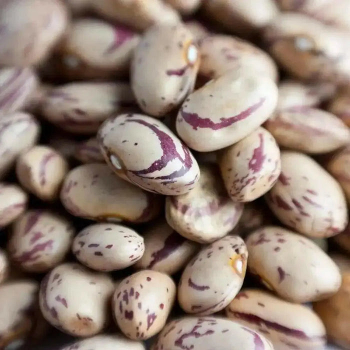 Romano Pole Bean Seeds, Itialian Heirloom ,Flat Pods - Caribbean garden seed