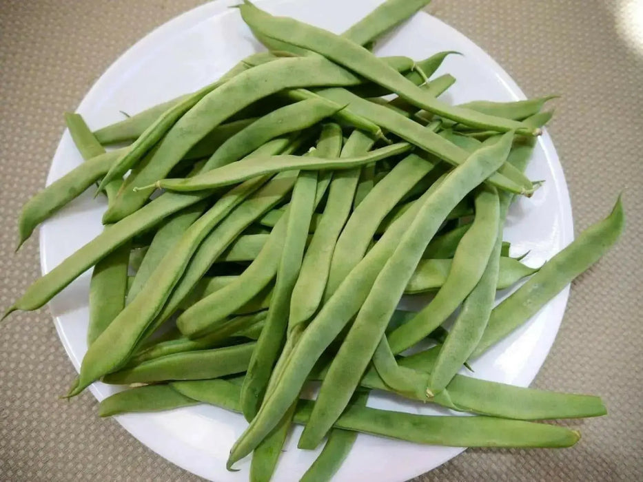 Romano Pole Bean Seeds, Itialian Heirloom ,Flat Pods - Caribbean garden seed