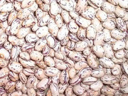 Romano Pole Bean Seeds, Itialian Heirloom ,Flat Pods - Caribbean garden seed
