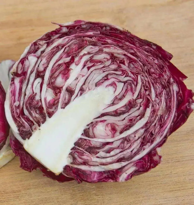 Rossa di Verona" Radicchio SEEDS (Italian Chicory) - Caribbean garden seed
