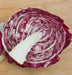 Rossa di Verona" Radicchio SEEDS (Italian Chicory) - Caribbean garden seed