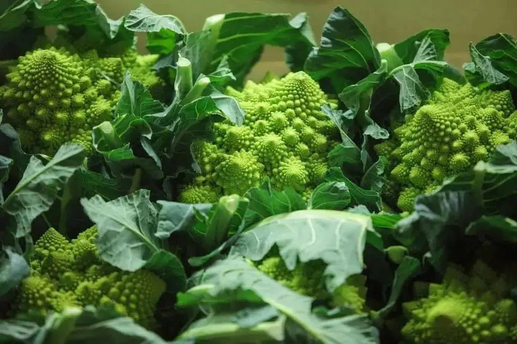 Romanesco Cauliflower Seeds, ANNUAL VEGETABLE - Caribbean garden seed