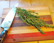 ROSEMARY HERB live plant (Rosemarinus Officinalis)  4' pot - Caribbean garden seed