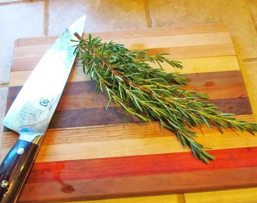 ROSEMARY HERB live plant (Rosemarinus Officinalis)  4' pot - Caribbean garden seed