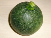 Round Zucchini Seeds  ,SUMMER SQUASH,HEIRLOOM vegetables, ! - Caribbean garden seed