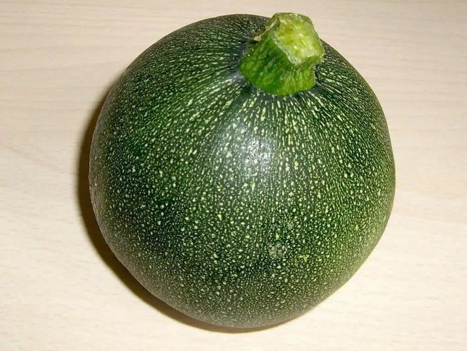 Round Zucchini Seeds  ,SUMMER SQUASH,HEIRLOOM vegetables, ! - Caribbean garden seed