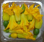 Round Zucchini Seeds  ,SUMMER SQUASH,HEIRLOOM vegetables, ! - Caribbean garden seed