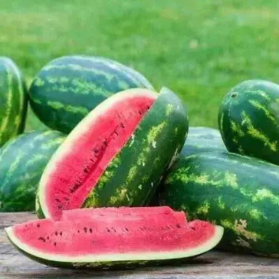sangria watermelon seeds - Caribbean garden seed