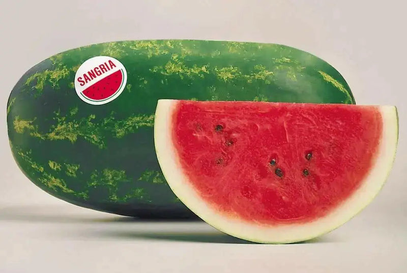 sangria watermelon seeds - Caribbean garden seed