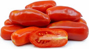San Marzano  Tomato (LIVE  PLANT-3' POT) Heirloom Open Pollinated - Caribbean garden seed