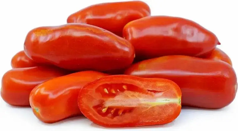 San Marzano  Tomato (LIVE  PLANT-3' POT) Heirloom Open Pollinated - Caribbean garden seed
