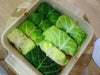 Savoy Cabbage seeds- Biennial Vegetable - Caribbean garden seed