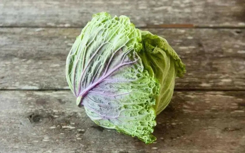 Savoy Cabbage seeds-(PURPLE) Biennial Vegetable - Caribbean garden seed