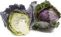 Savoy Cabbage seeds-(PURPLE) Biennial Vegetable - Caribbean garden seed