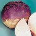 Rutabaga Turnip Seeds - Purple Top, Organic Non-GMO - Heirloom Vegetable - Caribbean garden seed