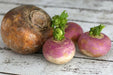 Rutabaga Turnip Seeds - Purple Top, Organic Non-GMO - Heirloom Vegetable - Caribbean garden seed