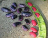 Scarlet Runner Bean, Beautiful Red flowers ,Edible Pods . - Caribbean garden seed