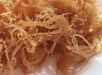 SEA MOSS , Jamaican Raw Iris Moss, 100% natural - Caribbean garden seed