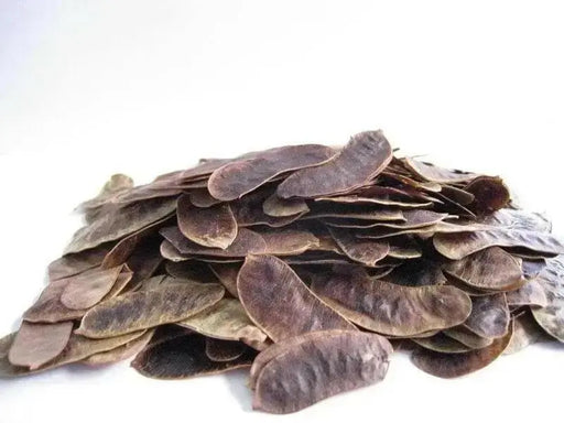 Senna pods herbal tea,And More!  Indian senna, true senna - Caribbean garden seed