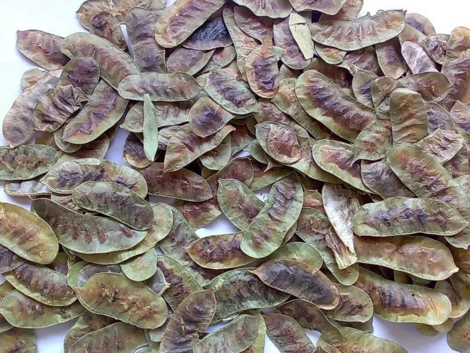 Senna pods herbal tea,And More!  Indian senna, true senna - Caribbean garden seed