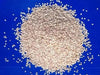 Sesame Seed - (Benne) - Caribbean garden seed
