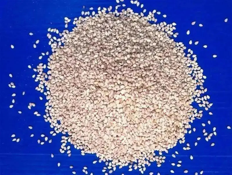 Sesame Seed - (Benne) - Caribbean garden seed
